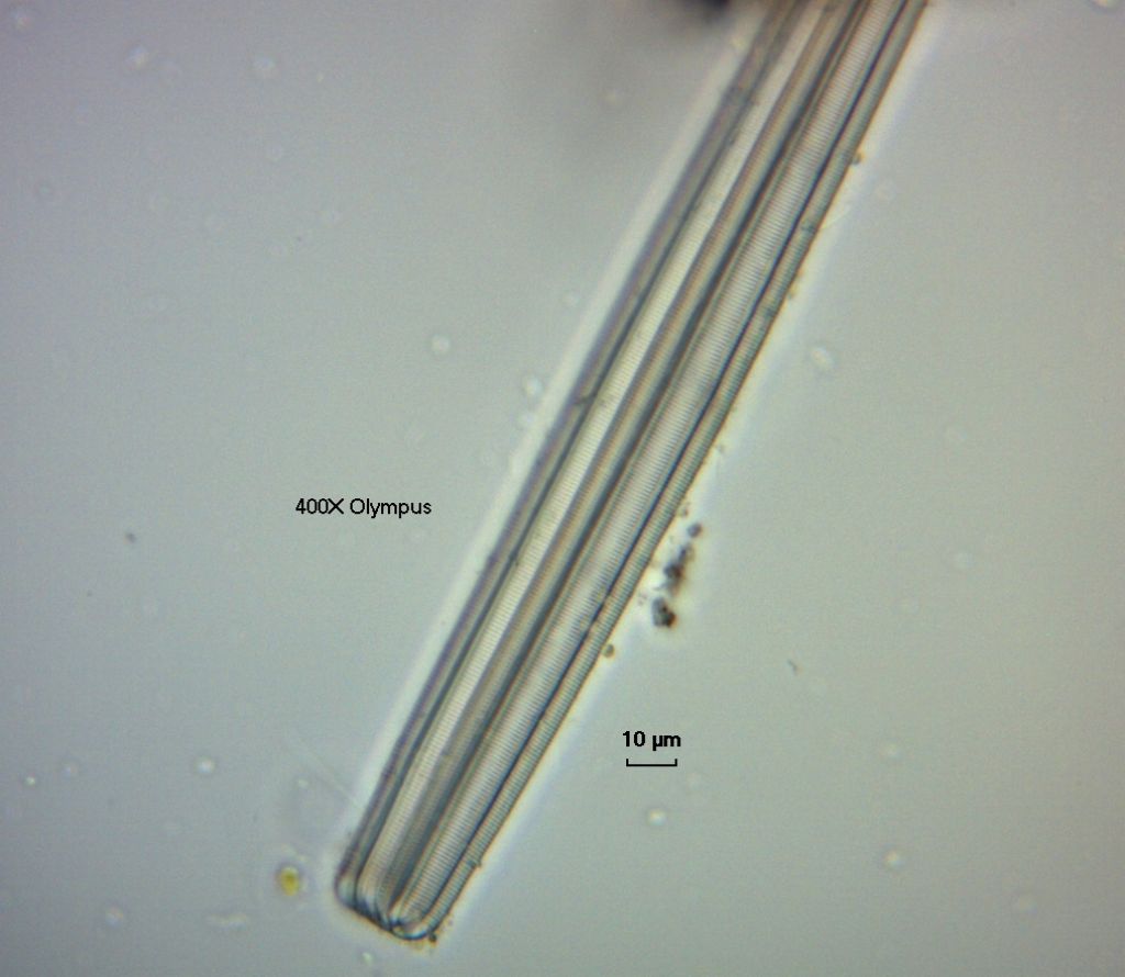 Se poteste dare un giudizio.